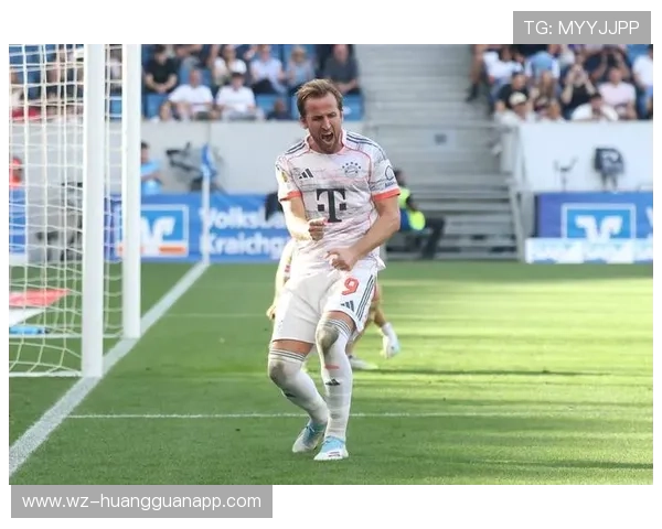 哈里·凯恩家冰箱贴都是英超奖牌