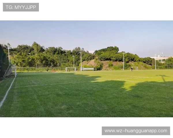 人工草场足球规则与天然草场有何不同？全面拆解关键细节