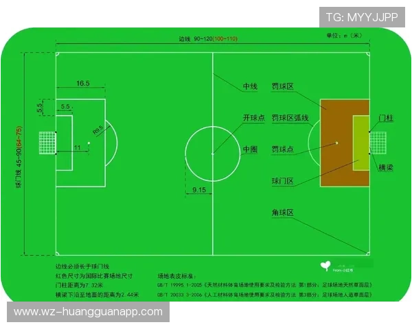 掷界外球规则解析：正确动作与判罚标准详解