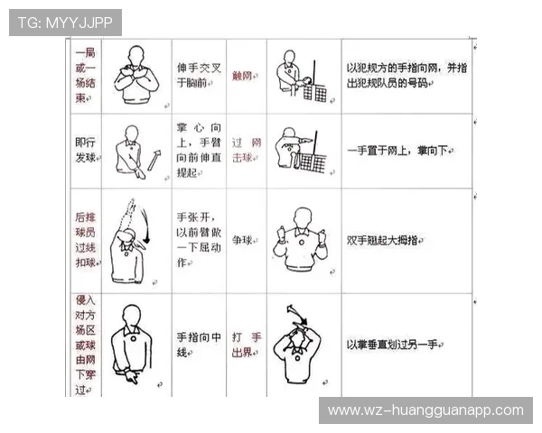 裁判手势规则解析：常见手势含义与判罚标准